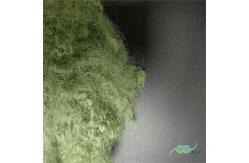 China 15D Siliconized Green Hollow Conjugated Polyester Staple Fiber for Quilt Filling supplier
