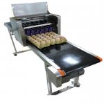 High Efficiency Egg Date Stamp Machine , Small Date Format Egg Spraying Machine