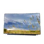 RGB Vertical Stripe Laptop 15.6 touch LCD 1366*7638 40pin B156XTT01.2 for sale