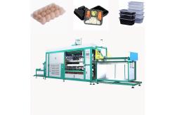 China Fully Automatic plastic food container making machine
 supplier