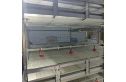 China Commercial 4 Layer Broiler Chicken Cage 80Birds/Set SONCAP Certificated supplier