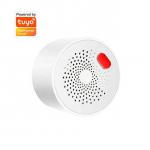 FCC ROHS 70dB/M Smart Gas Leakage Detector US UK EU Adapter for sale
