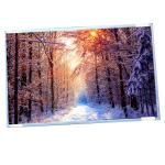 AUO display G220SW01 V0 22.0 inch IPS lcd wide screen with resolution 1680(RGB)×1050 for sale