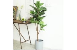 China Natural 120cm Height Pandurata Artificial Ficus Tree Landing Plant supplier