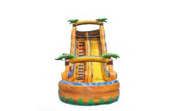 China Large Inflatable Water Slide With Pool  Adult Water Slide Bounce House Inflatable Slide supplier