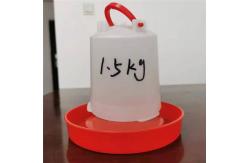 China 1.5L Poultry Bucket Drinker For Baby Chicken Broiler Layer Breeder supplier
