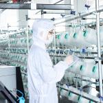 Polyester Polyamide Cleaning Wipe Roll Microfiber LCD Cleaning Cloth Customization