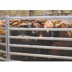 China Galvanized Pipe Corral Sheep Cattle Panels Fence 1.8x2.1m factory