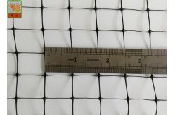 China Black Plastic Poultry Netting, Plastic Chicken Mesh Fence, Light Weight, PP Materials, 40GSM supplier