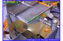 China Citrus Pomegranate Squeezer Zumex Orange Juicer Machine For Restaurant supplier