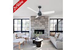 China ODM 220 - 240V Remote Control ABS Ceiling Fan For Living Room supplier