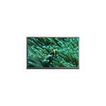 NEW 14.0 inch 1920*1080 N140HCG-EN1 LCD Screen FOR Laptop for sale