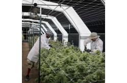 China Automatic Ventilation System Blackout Greenhouse With LED Light Deprivation supplier