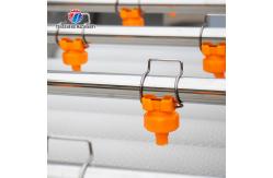 China 2.5KW Vegetable Parallel Roller Cleaning Machine High Pressure Spray Fruit Washing Machine supplier