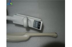 China S2000 EC9-4 Endocavity Ultrasound Scanner Probe Echo Machine supplier