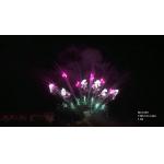 130 Shots Professional Pyrotechnics Fireworks AFSL Certified for sale