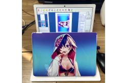 China Computer Controlled Graphtec Cutting Machine Plotter And Skin Design Software supplier