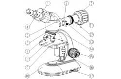 China WF10X Eyepiece Binocular Student Optical Microscope ABBE NA1.25 Condenser supplier