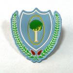 Heat Transfer Or Sewing 3D Tpu Patches Badges On Clothing Customized Design for sale