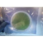 350um Thickness  4h-N 4H-SEMI SIC Silicon Carbide Wafer For Epitaxial for sale