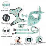 Polyester Dog Harness Set Custom Comfortable Pet Cat Harness And Leash Set
