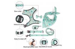 China Polyester Dog Harness Set Custom Comfortable Pet Cat Harness And Leash Set supplier