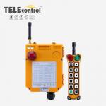 Telecontrol F24-12S Overhead Crane Remote Control Industrial Crane Remote Controller for sale