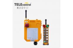 China Telecontrol F24-12S Overhead Crane Remote Control Industrial Crane Remote Controller supplier