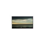 LS040T8LX02 LCD Panel 4.0 Inch LCD Display 480*854 Resolution for sale