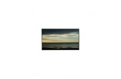 China LS040T8LX02 LCD Panel 4.0 Inch LCD Display 480*854 Resolution supplier