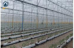China Tomato Hydroponic PP Roll Vegetables Planting Gutter In Modern Farming supplier