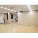 Multi Color Acoustic Room Divider Sliding Folding Acoustic Partitions Wall For Banquet Hall for sale