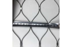 China Flexible Stainless Steel Wire Rope Stair Railing Mesh Security Garden Fence supplier