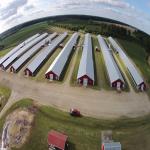 Durable Large Span Steel Structure Chicken House Light Steel Frame Construction