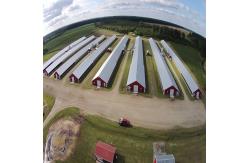 China Durable Large Span Steel Structure Chicken House Light Steel Frame Construction supplier