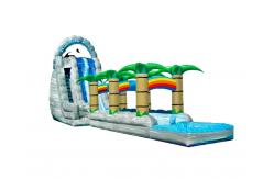 China Aldult  Outdoor Rental Inflatable Large Water Slides With Bouncy supplier