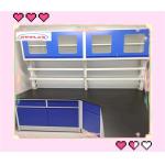 Cold Rolled Steel Chemistry Lab Bench For Goverment Frame With Adjustable Glass Shelf for sale