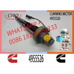 QSK19 QSK38 QSK50 QSK60 Engine Fuel Injector 4955526 Y431K05199 4928104 F00BLOJ014 F00BLOJ013 For Cummins for sale
