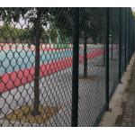 High Strength Green Wire Mesh Fence 50*100mm PVC Coated Iron Wire Material for sale