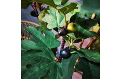 China Height 155cm Artificial Potted Floor Plants FIG Tree Fresh Green supplier