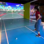 AR Sports Fitness Game Motion Equipment Indoor Amusement Park Product Simulated Badminton for sale