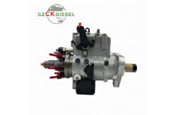 China Stanadyne Injection Pump DB4629-5919R RE522694 For John Deere 6068 Engine supplier