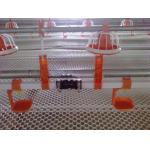 Yellow Poultry Drinking Line IPX4 PVC Chicken Watering System for sale