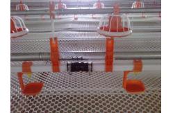 China Animal Hydration Poultry Drinking Line 0.6MPa Broiler Auto Drinker supplier