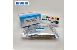 China Beta 99% Accuracy Hcg Elisa Test Kit Ce Marked Human Use supplier