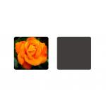 9 x 9cm Lenticular Printing Services Flowers & Birds 3d Lenticular Coasters With Square Shape for sale