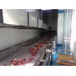                  CE Straight Gravity Roller Conveyor for Transport Materials              for sale