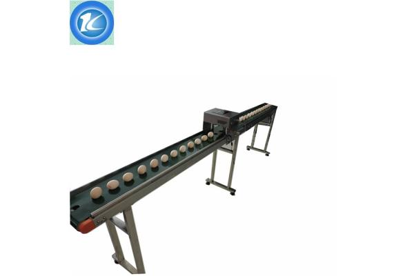 Advanced Design Automatic Batch Coding Machine Whole Tray Egg Inkjet Printer