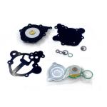 Filter And Cover Maintenance Kit For LPG Car Gas Regulator for sale