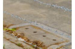 China Rust Resistance Double Twisted Hot Dipped Galvanized Barbed Wire Coils supplier